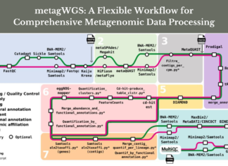 Meet metagWGS: A Flexible Workflow for Comprehensive Metagenomic Data Processing Meet metagWGS: A Flexible Workflow for Comprehensive Metagenomic Data Processing