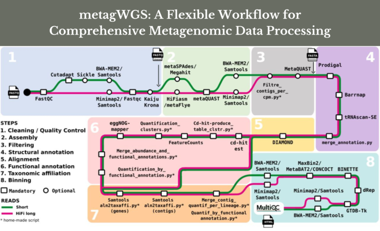 Meet metagWGS: A Flexible Workflow for Comprehensive Metagenomic Data Processing