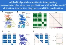 Decoding Complex Interactions: How AlphaBridge Enhances Macromolecular Structure Interpretation Decoding Complex Interactions: How AlphaBridge Enhances Macromolecular Structure Interpretation