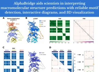 Decoding Complex Interactions: How AlphaBridge Enhances Macromolecular Structure Interpretation Decoding Complex Interactions: How AlphaBridge Enhances Macromolecular Structure Interpretation
