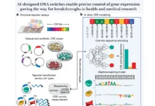 Turning Genes On and Off: AI-Designed DNA Switches Revolutionize Gene Regulation Turning Genes On and Off: AI-Designed DNA Switches Revolutionize Gene Regulation