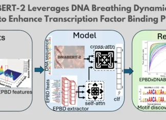 EPBDxDNABERT-2: A Multi-Modal Deep Learning Model for Enhanced Transcription Factor DNA Binding Prediction EPBDxDNABERT-2: A Multi-Modal Deep Learning Model for Enhanced Transcription Factor DNA Binding Prediction