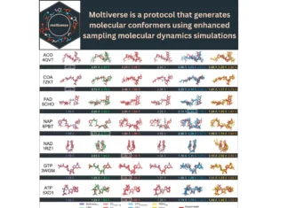 Unlock Molecular Conformations with Moltiverse Using Enhanced Sampling Molecular Dynamics Simulations Introducing Moltiverse: A Cutting-Edge Tool for Accurate Conformer Generation in Drug Discovery