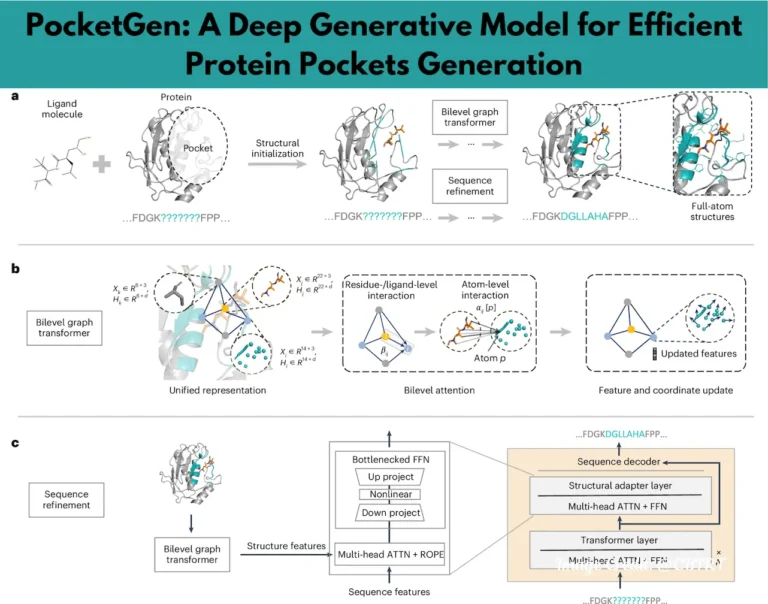 From Concept to Reality: Efficient Protein Pocket Design with PocketGen