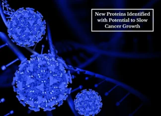 Scripps Scientists Unveil New Proteins with Potential to Slow Cancer Growth Scripps Scientists Unveil New Proteins with Potential to Slow Cancer Growth