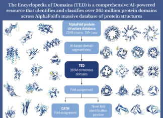 The Encyclopedia of Domains: Mapping the Diversity of Protein Domains in the AlphaFold Database The Encyclopedia of Domains (TED): Mapping the Diversity of Protein Domains in the AlphaFold Database