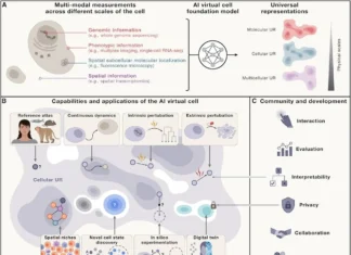 Building the Virtual Cell: AI’s Next Frontier in Biology Building the Virtual Cell: AI's Next Frontier in Biology