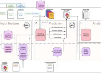 Streamlining High-Throughput Protein Complex Modeling with AlphaPulldown2 Streamlining High-Throughput Protein Complex Modeling with AlphaPulldown2