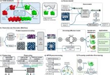 Predicting Protein Dynamics with BioEmu: A New Frontier in Biomolecular Research Predicting Protein Dynamics with BioEmu: A New Frontier in Biomolecular Research
