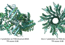 MIT Unveils Boltz-1: An Open-Source Tool for Biomolecular Structure Prediction MIT Unveils Boltz-1: An Open-Source Tool for Biomolecular Structure Prediction