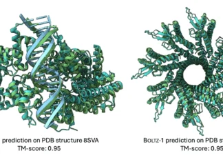 MIT Unveils Boltz-1: An Open-Source Tool for Biomolecular Structure Prediction MIT Unveils Boltz-1: An Open-Source Tool for Biomolecular Structure Prediction