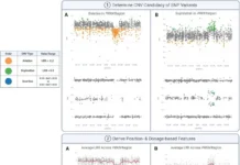 Streamlining Copy Number Variation Discovery: How CNV-Finder is Changing Genomics
