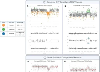 Streamlining Copy Number Variation Discovery: How CNV-Finder is Changing Genomics