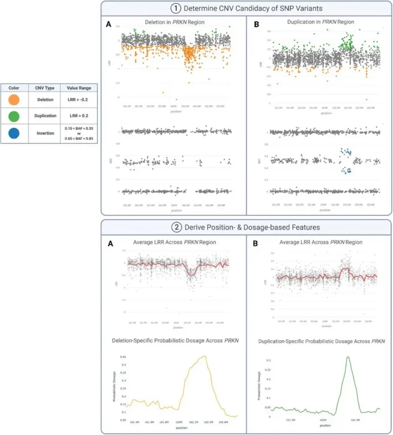 Streamlining Copy Number Variation Discovery: How CNV-Finder is Changing Genomics