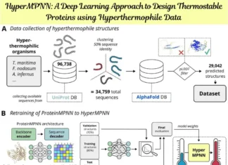 Learning from Extremophiles: HyperMPNN’s Revolutionary Approach to Thermostable Protein Design Learning from Extremophiles: HyperMPNN's Revolutionary Approach to Thermostable Protein Design