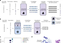 The Nucleotide Transformer: How Foundation Models are Shaping Human Genomics The Nucleotide Transformer: How Foundation Models are Shaping Human Genomics