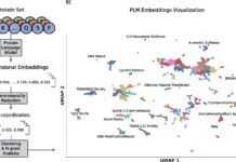 Protein Language Visualizer: A New Era of Sequence Similarity Exploration Protein Language Visualizer: A New Era of Sequence Similarity Exploration