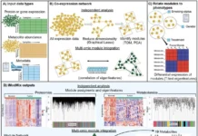 Seamless Multi-Omics Integration Made Easy with iModMix Seamless Multi-Omics Integration Made Easy with iModMix