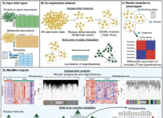 Seamless Multi-Omics Integration Made Easy with iModMix Seamless Multi-Omics Integration Made Easy with iModMix