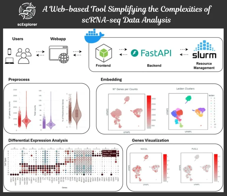 Unlocking the Power of Single-cell RNA Sequencing with scExplorer