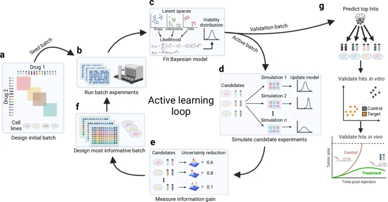 From Complexity to Simplicity: BATCHIE’s Role in Uncovering Cancer Drug Synergies