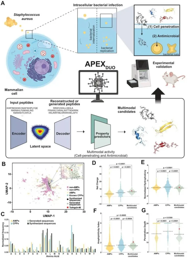 Penn Researchers Use Deep Learning to Design Multimodal Antibiotics for Combating Intracellular Infections