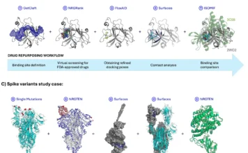 Enhancing Drug Discovery with NRGSuite-Qt: A PyMOL Plugin for Virtual Screening and Docking Enhancing Drug Discovery with NRGSuite-Qt: A PyMOL Plugin for Virtual Screening and Docking