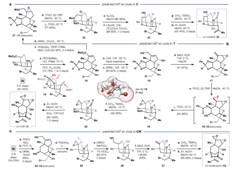 25 New Compounds: How Scripps Research Uses Computer Modeling to Transform Drug Discovery