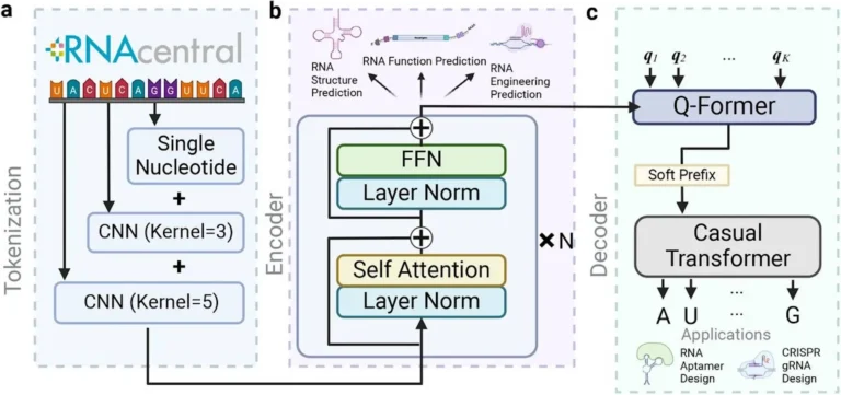 RNAGenesis: A Foundation Model Advancing RNA Sequence Generation and Structural Insights