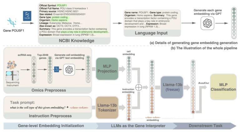 How SCREADER Uses Large Language Models to Decode scRNA-seq Data