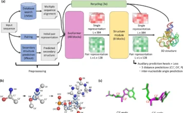 NuFold: A Revolutionary Leap in RNA Tertiary Structure Prediction NuFold: A Revolutionary Leap in RNA Tertiary Structure Prediction