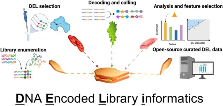 UNC Researchers Unveil DELi, a Powerful Open-Source Tool for DNA-Encoded Library Informatics