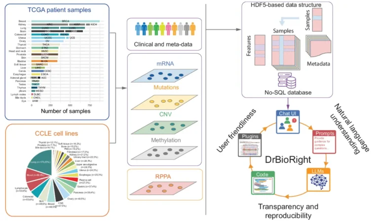 Democratizing Cancer Omics: How DrBioRight 2.0 Simplifies Complex Data Analysis