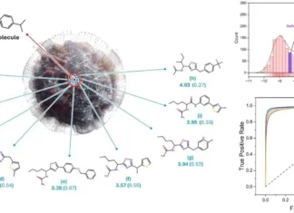 MolAI: The Deep Learning Model Transforming Molecular Descriptor Generation MolAI: The Deep Learning Model Transforming Molecular Descriptor Generation