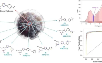 MolAI: The Deep Learning Model Transforming Molecular Descriptor Generation MolAI: The Deep Learning Model Transforming Molecular Descriptor Generation