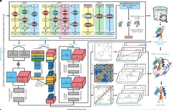 D-I-TASSER Outperforms AlphaFold? A New Frontier in Protein Structure Modeling D-I-TASSER Outperforms AlphaFold? A New Frontier in Protein Structure Modeling
