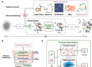 PhysDock: A New Era in Protein-Ligand Docking with AI and Physics PhysDock: A New Era in Protein-Ligand Docking with AI and Physics
