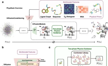 PhysDock: A New Era in Protein-Ligand Docking with AI and Physics PhysDock: A New Era in Protein-Ligand Docking with AI and Physics