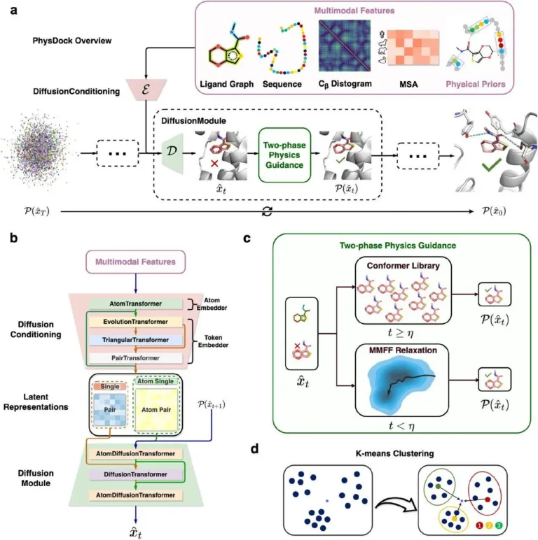PhysDock: A New Era in Protein-Ligand Docking with AI and Physics