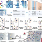 Unlocking Cellular Mysteries with CellReasoner: A New AI Tool for Biologists Unlocking Cellular Mysteries with CellReasoner: A New AI Tool for Biologists