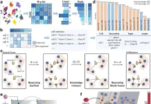 Unlocking Cellular Mysteries with CellReasoner: A New AI Tool for Biologists Unlocking Cellular Mysteries with CellReasoner: A New AI Tool for Biologists