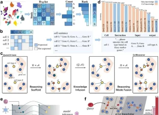 Unlocking Cellular Mysteries with CellReasoner: A New AI Tool for Biologists Unlocking Cellular Mysteries with CellReasoner: A New AI Tool for Biologists