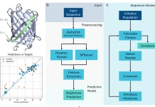 Minimal Data, Maximal Impact: The Future of Peptide Design with MDMI Minimal Data, Maximal Impact: The Future of Peptide Design with MDMI
