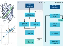 Minimal Data, Maximal Impact: The Future of Peptide Design with MDMI Minimal Data, Maximal Impact: The Future of Peptide Design with MDMI