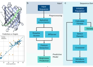 Minimal Data, Maximal Impact: The Future of Peptide Design with MDMI Minimal Data, Maximal Impact: The Future of Peptide Design with MDMI