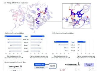 Placing Every Atom Right: PEARL’s Deep Learning Approach to Drug Discovery Placing Every Atom Right: PEARL's Deep Learning Approach to Drug Discovery