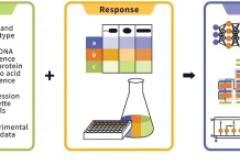 Can Machine Learning Finally Crack the Protein Expression Code? Can Machine Learning Finally Crack the Protein Expression Code?
