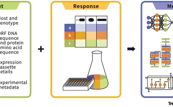 Can Machine Learning Finally Crack the Protein Expression Code? Can Machine Learning Finally Crack the Protein Expression Code?