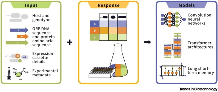 Can Machine Learning Finally Crack the Protein Expression Code?