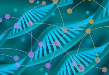 Human Genome in 4D: Mapping Structure, Function, and Dynamics Human Genome in 4D